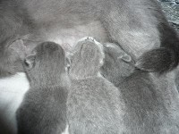 /album/fotogalerie-vrh-q/p1030131-jpg/