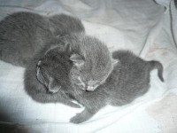 /album/fotogalerie-vrh-q/p1030169-jpg/