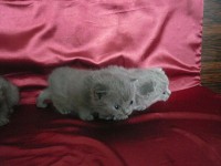 /album/fotogalerie-vrh-q/p1030321-jpg/