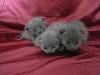 /album/fotogalerie-vrh-q/p1030311-jpg/